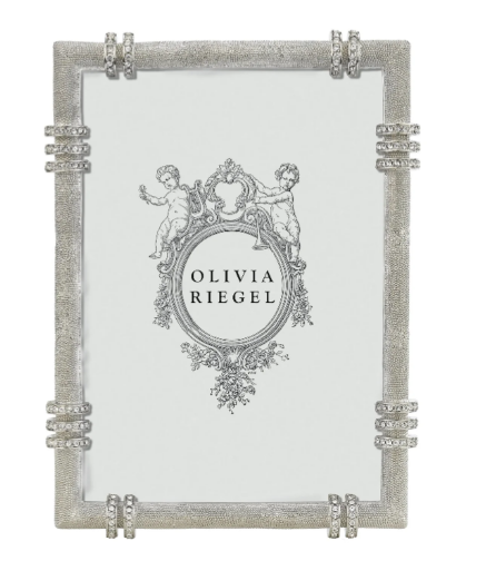Olivia Riegel's Cassini Picture Frame