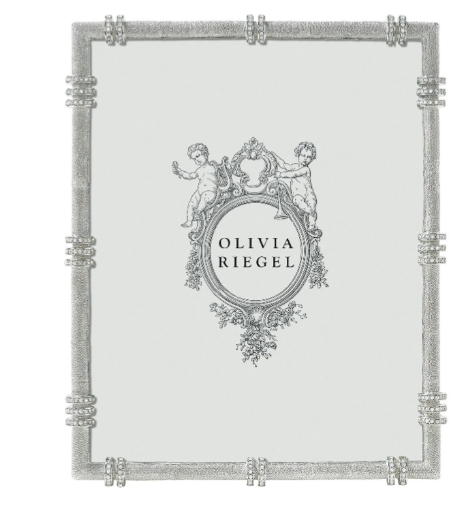 Olivia Riegel's Cassini Picture Frame