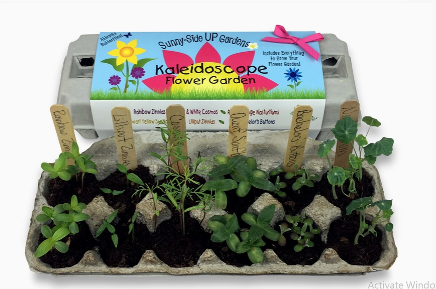 Grow Garden Kits