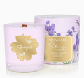 Spongelle Scented Soy Candle
