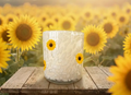 Decorative Scented Soi Candle